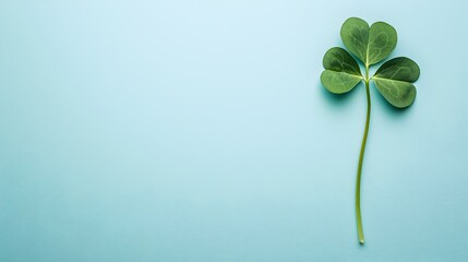 A leaf with four points is on a blue background