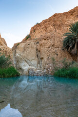 A place of rest and refreshment, Chebika Oasis, in central Tunisia