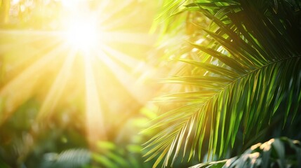 Obraz premium Dramatic jungle foliage with sunlight piercing through.
