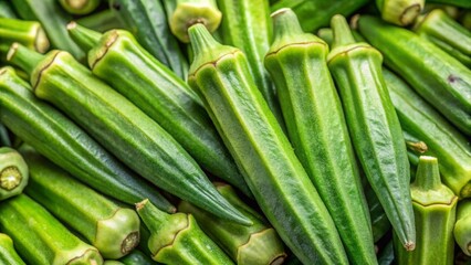 Obraz premium Harvesting fresh okra a culinary journey in southern gardens recipe guide for home cooks sustainable practices