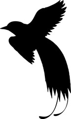 Tailorbird brid Black Vector Silhouette on White Background