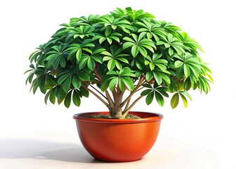 Obraz premium Lush Dwarf Umbrella Tree Thriving in Potted Cultivation - High-Resolution Stock Photo