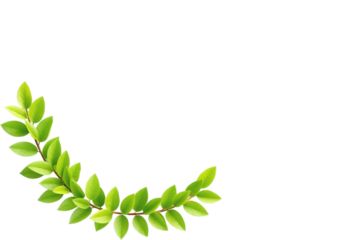 Fresh Green Leaf Garland on PNG/White Background. A vibrant spring-like image of a leafy garland featuring a collection of bright green leaves arranged in a semicircle or arch shape
