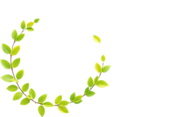 Fresh green leaves create a vibrant circular frame. A circular frame composed of delicate bright green leaves and stems arranged artfully against a PNG/Transparent/white background