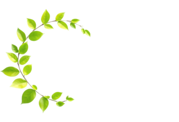 Fresh Green Leaf Wreath Border on PNG/White Background. A circular frame of vibrant green leaves and branches arranged in a graceful arch on a PNG/Transparent/white background