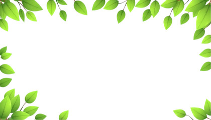 Fresh Green Leaves Frame for Spring Design. A vibrant spring-like image featuring lush green leaves arranged in a decorative border around a blank white space