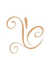 Obraz premium Elegant Flourish Design