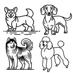 Black and white line art illustrations of four different dog breeds