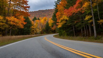 road in autumn
