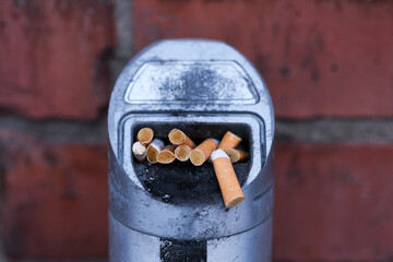 Cigarette butts