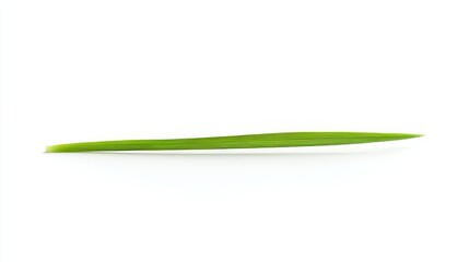 A single grass blade placed neatly on a white background
