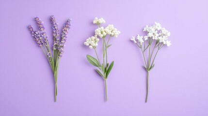 Naklejka premium Three Floral Arrangements On Purple Background