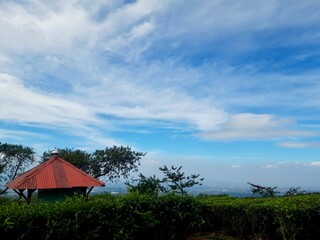 Kuneer Hill is located on the slopes of Mount Arjuno, this place features a scenic Wonosari tea garden area.