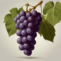 Fototapeta premium grapes on vine