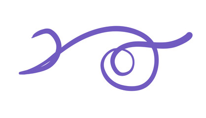 Calligraphy Flourishes elegant text divider for invitations