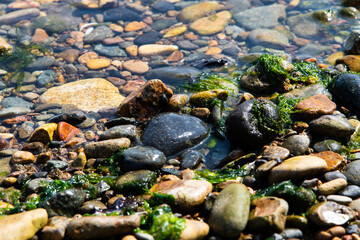 pebbles at the beach