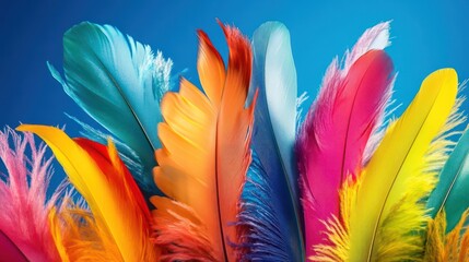 Obraz premium Vibrant Rainbow Feathers Against a Blue Sky