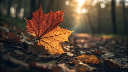 Earthy Harmony: Minimalist Autumn Leaf Photography with Bokeh