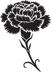 Beautiful Carnation Silhouette Vector Illustration for Graphic Use