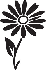Beautiful Daisy Silhouette Vector Art on White Background