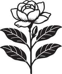 Gardenia Flower Silhouette in Simple Vector Art on White Canvas