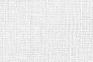 Vector background. Set of paint strokes, lines, forming a structure, texture