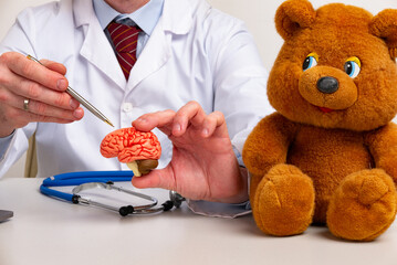 doctor is pointing pen anatomical model human brain. Help and care concept