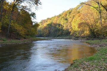 Serene River Flowing Through Colorful Autumn Forest Landscape