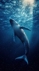 Fototapeta premium Majestic humpback whale swimming gracefully underwater with sunlight