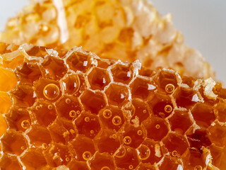 Beekeeping, beekeeper at work, bees in flight