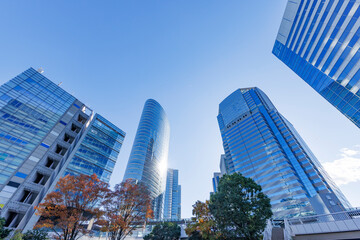 Fototapeta premium 巨大なビルが立ち並ぶ東京の街