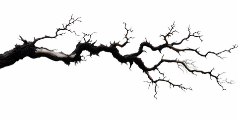 3D Render of a Twisted, Bare Tree Branch