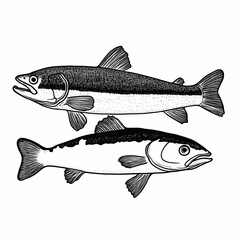 Obraz premium Two Fish Illustration Black and White