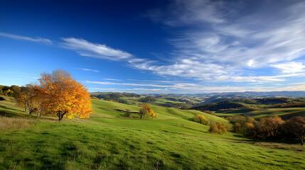 Obraz premium Autumnal Landscape With Golden Trees And Rolling Hills