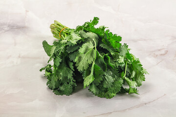 Fresh green cilantro branches heap