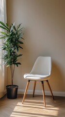 Minimalist interior with a chair and a plant in natural light during the morning