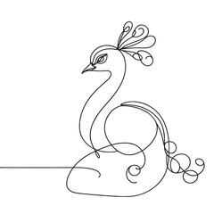 Fototapeta premium One Line Drawing of a Peacock