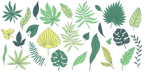 tropical green leaves set. monstera, palm, fern, ivy in various shapes and sizes. simple flat style. Vector illustration. Perfect for prints, packaging, invitations, branding, backgrounds, textile