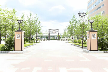 Tranquil Park Pathway Illustration