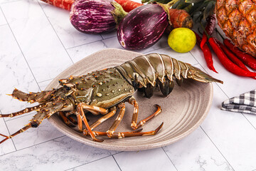 Raw wild fresh spiny lobster