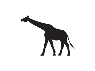 Fototapeta premium giraffe vector illustration