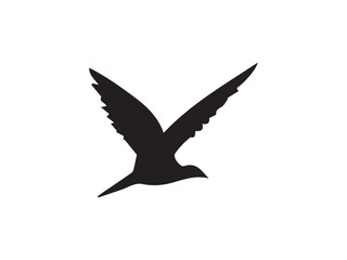 vector of a flying bird