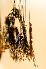 Different types of dried herbs in bundles. Wormwood, tansy, chamomile. Drying herbs. High quality photo