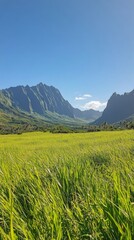 Breathtaking view of mountainous landscape with golden grass under clear blue sky