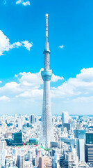 Fototapeta premium Sky Tower Cityscape Illustration