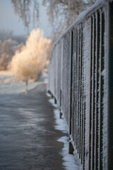 frosted bridge railing with golden glowing tree in background