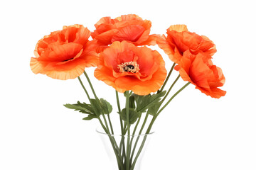 Obraz premium Orange Poppy Flower Illustration