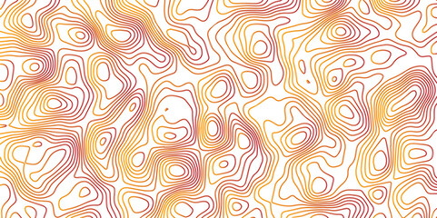 Abstract light pattern Vector illustration. Topographic map background concept. Vintage bright abstract decorative crazy lines pattern. Colorful topography contour lines isolated on black background.