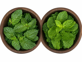 Fresh Mint Leaves in Wooden Bowls - Photo
