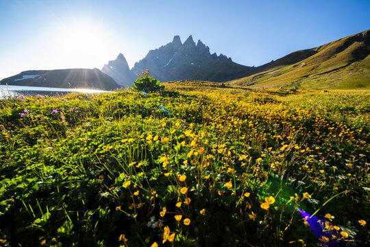 mountain landscape